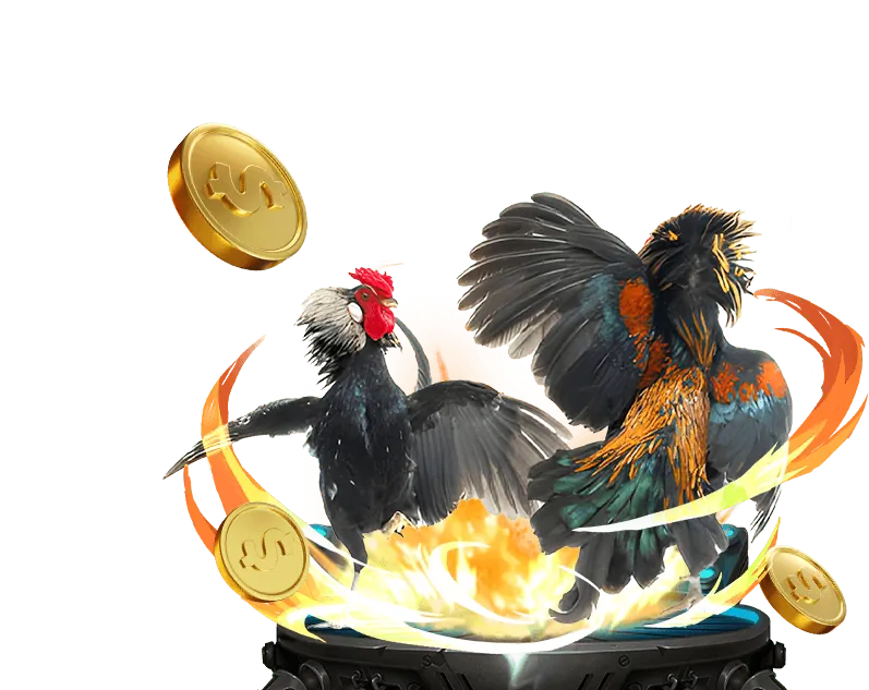 Giao diện thân thiện co88